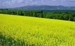 怎么用空氣負氧離子監(jiān)測系統(tǒng)？